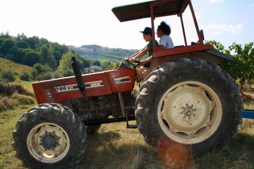 Tetamu yang menginap di Agriturismo Rigone in Chianti