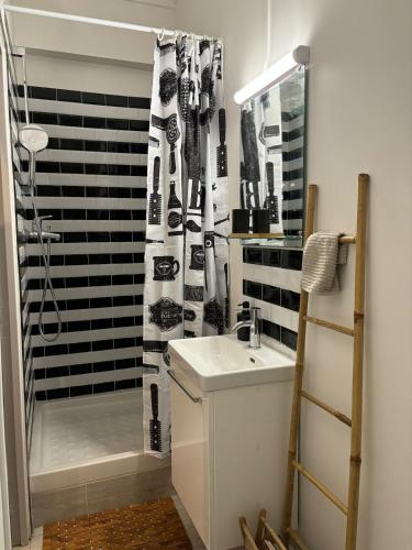 une salle de bain avec un lavabo et un rideau de douche dans l'établissement Montmartre Shelter, à Paris