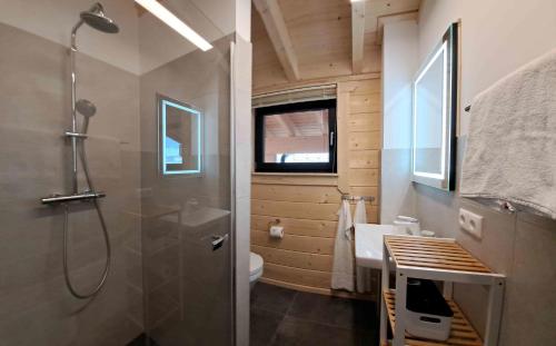 a bathroom with a shower and a toilet and a sink at Klippitz Heights in Klippitztorl
