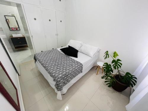 a white room with a bed and a plant at Casa em Aparecida 300m2 próximo ao Santuário Nacional in Aparecida