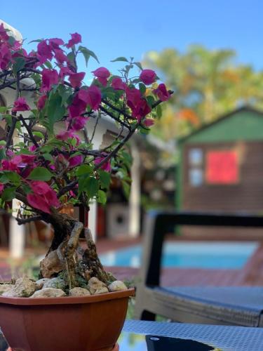 a plant with pink flowers in a pot on a table at Maison Centre-ville Mer à pied in Saint-François
