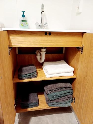 a cabinet with towels and a sink in a bathroom at Buiten Huisje aan de Vaart 1 in Matsloot