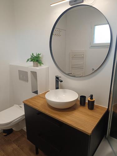 une salle de bain avec un lavabo blanc et un miroir dans l'établissement Studio les Hauts de Honfleur, à Équemauville