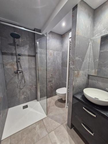 une salle de bain avec une douche, un lavabo et des toilettes dans l'établissement appartement 1 pégurier, à Nice