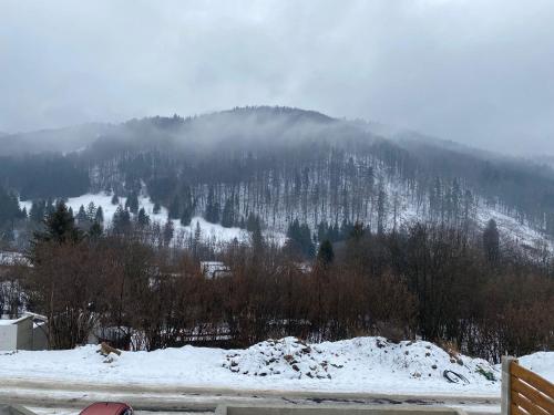 a snow covered mountain with trees in the distance at Chata Lenka Mýto pod Ďumbierom 657 in Mýto pod Ďumbierom