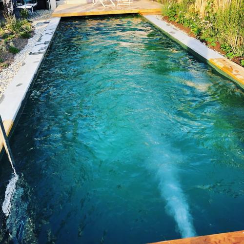 a pool of water with a shark swimming in it at Bodensee-Apartment SeeZeichen No 26 in Bodman-Ludwigshafen