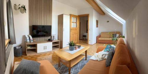 TV a/nebo společenská místnost v ubytování Ferienwohnung Seiringer
