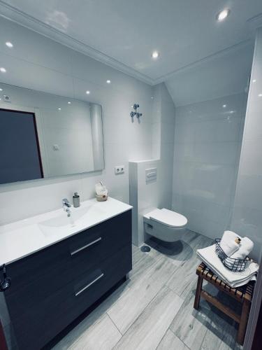 a bathroom with a sink and a toilet and a mirror at Apartment Cura in Torrevieja