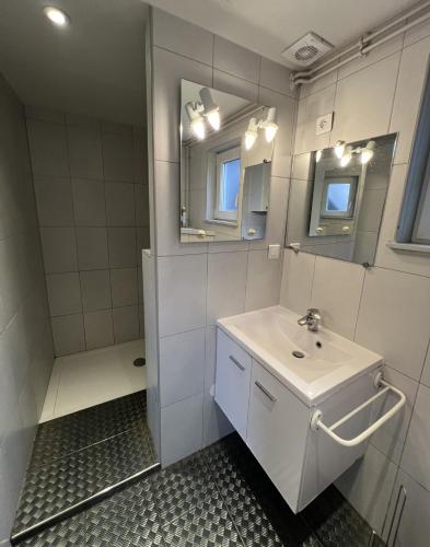 une salle de bain blanche avec un lavabo et une douche dans l'établissement Gîte Marcel et Marianne jardin et parking privatifs, à Ebersheim
