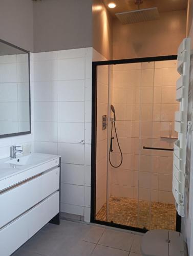 a bathroom with a shower and a sink at Appartement proche des thermes de vals les bains in Labégude