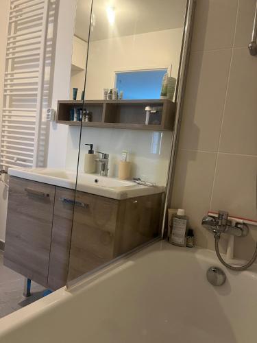 une salle de bain avec un lavabo et un miroir dans l'établissement New cozy studio near Roland Garros and Parc des Princes, à Boulogne-Billancourt