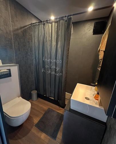 a bathroom with a toilet and a shower and a sink at Bright Room Houseboat in Belgrade