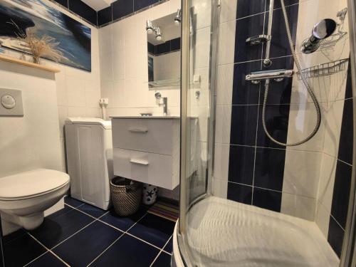 une salle de bain avec une douche, un lavabo et des toilettes dans l'établissement Résidence Montcalm D - Chaleureux logement ! MAE-6704, à Aix-les-Bains