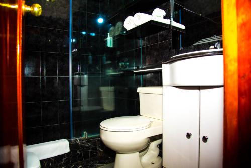a bathroom with a toilet and a shower and a sink at Hotel la Giralda in Ibarra