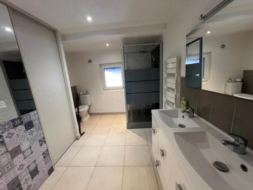 a bathroom with a sink and a shower and a toilet at Gîte Elouann familial spacieux calme in Ebersheim
