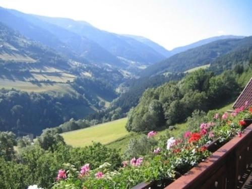 a view of a valley from a balcony with flowers at Romantisches Bauernhaus in 1100m Höhe zw Katschberg und Millstätter See in Puchreit
