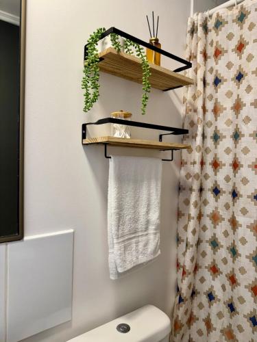 a bathroom with a towel rack above the toilet at Caldera Apartment in Caldera