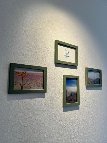 a wall with three pictures of a tree on it at Caldera Apartment in Caldera