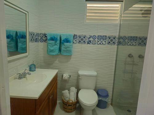 a bathroom with a toilet and a sink and a shower at Sunny Acres Villa, St.Lucia in Choc