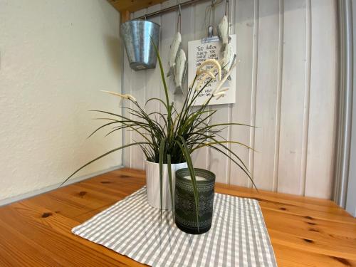 a potted plant sitting on top of a table at Haus AchternDiek Strandhafer in Dahme