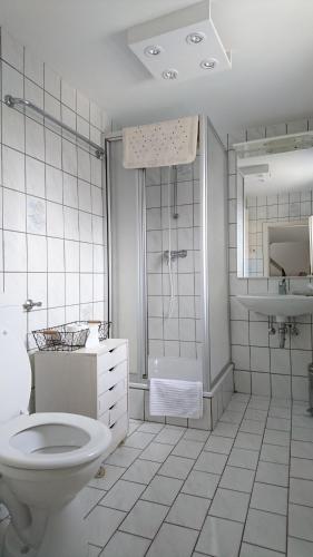 a bathroom with a toilet and a shower and a sink at Gartenhaus in Dodenburg