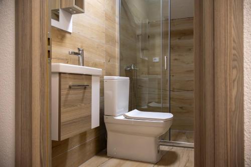 a bathroom with a toilet and a glass shower at D & O Apartments in Mavrovo