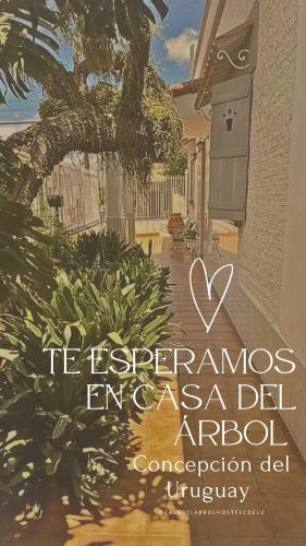 a book with a picture of a street at Casa del arbol hostel in Concepción del Uruguay