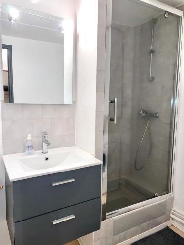 une salle de bain avec un lavabo et une douche dans l'établissement Appartement centre-ville, à Carcassonne