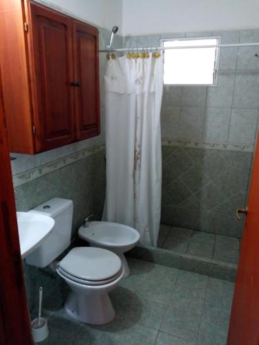 a bathroom with a toilet and a shower and a sink at Cabaña Pope 2 in Federación