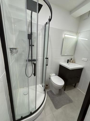 une salle de bain avec une douche, des toilettes et un lavabo dans l'établissement Studio O Fil du Vent, à Gruissan