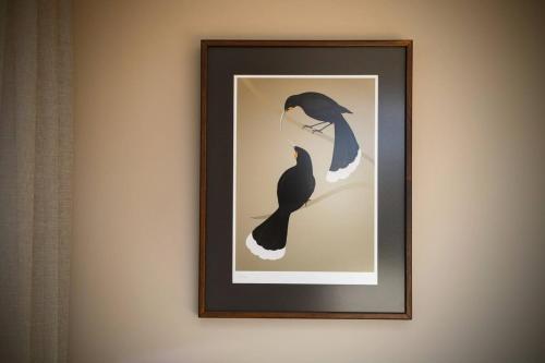 Gallery image of Shadowland Apartment in Manapouri