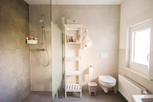 a bathroom with a shower and a toilet and a sink at Haus Hummel Ferienwohnung Dora in Lieske