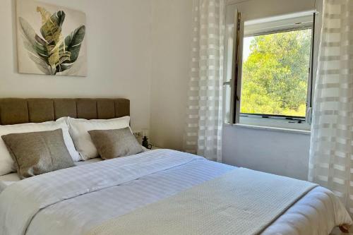 Apartments with parking space Biograd na Moru, Biograd - 23751