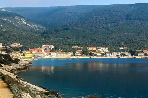 a view of a large body of water with houses at Apartments and rooms by the sea Martinscica, Cres - 23980 in Martinšćica