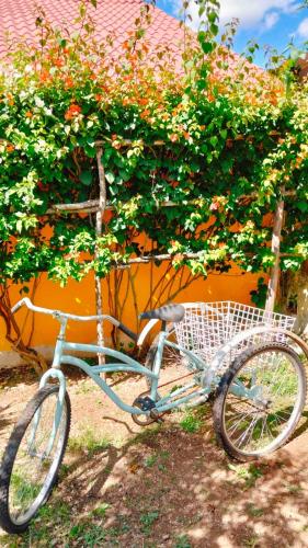 a blue bike parked next to a bush with flowers at Quinta Rosita in Ticul