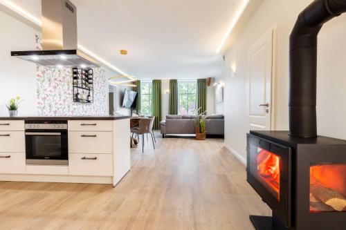 a kitchen and living room with a fireplace at Osterhof Fehmarn - Casa Florale in Fehmarn
