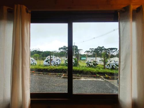 a window with a view of a field of white flowers at Cabanas Pôr do Sol - São Chico in São Francisco de Paula