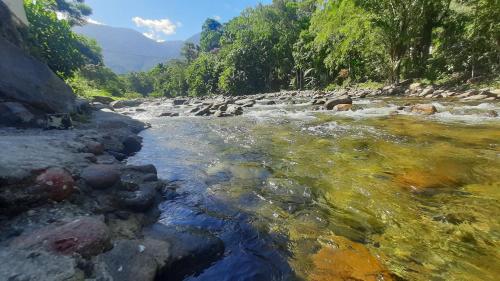 a river with rocks and trees on the side at Pousada Melancia in Paraty