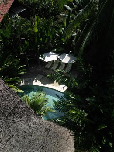 a small pool in the middle of a garden at Conga Boutique Hotel in Puerto Viejo