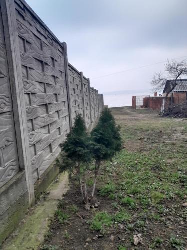 Budova, kde se the country house nachází