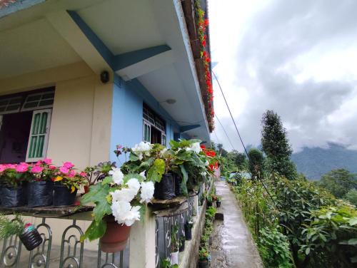 a balcony with potted plants on a house at Pine Valley Homestay in Padamchen