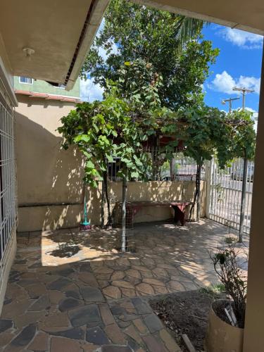 a patio with a tree and a bench at Casavivi in Tramandaí