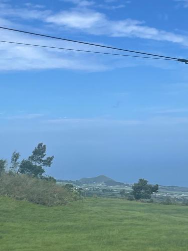 a view of a green field with a telephone wire at La case d'Édith in Le Tampon