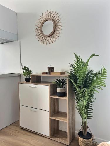 un miroir sur un mur au-dessus d'une armoire avec des plantes dans l'établissement Esprit Cosy - Coeur de Village, à Nègrepelisse