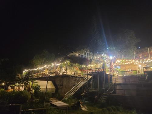 a set of stairs with lights at night at Dalana Coffee Glamping Đà Lạt in Da Lat