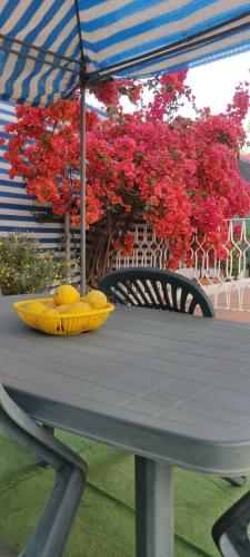a table with a yellow bowl on top of it at Green Garden da Virna 2 in Torre Annunziata