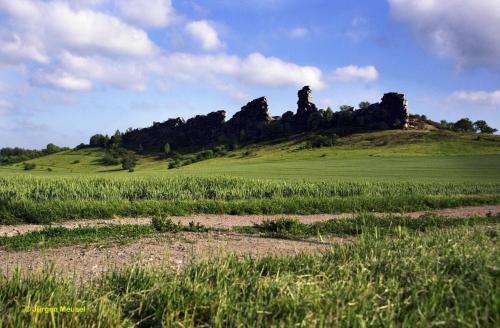 a grassy field with a hill in the background at Kurhotel Bad Suderode in Bad Suderode