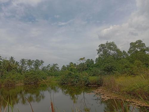 a body of water with trees in the background at Cinnamon Edge in Mihiripenne