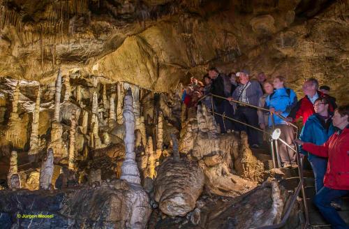 a group of people standing in front of a cave at Kurhotel Bad Suderode in Bad Suderode