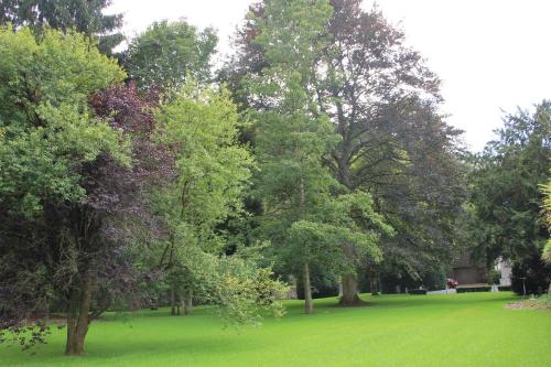 Jardín al aire libre en Chateau Cardinal